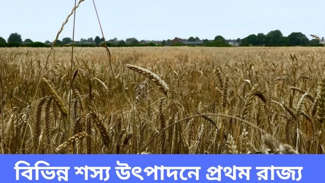 বিভিন্ন শস্য উৎপাদনে প্রথম রাজ্য