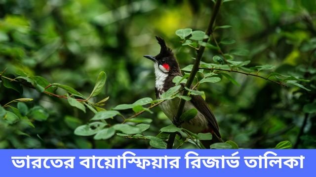 ভারতের বায়োস্ফিয়ার রিজার্ভ তালিকা