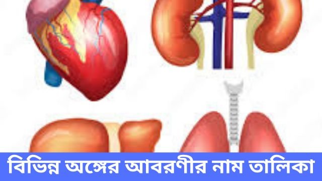 বিভিন্ন অঙ্গের আবরণীর নাম তালিকা