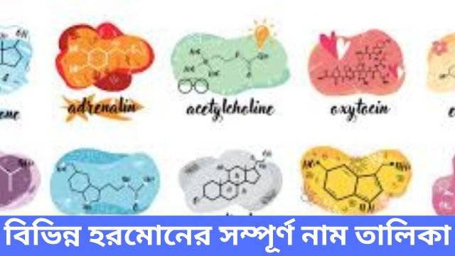 বিভিন্ন হরমোনের সম্পূর্ণ নাম তালিকা